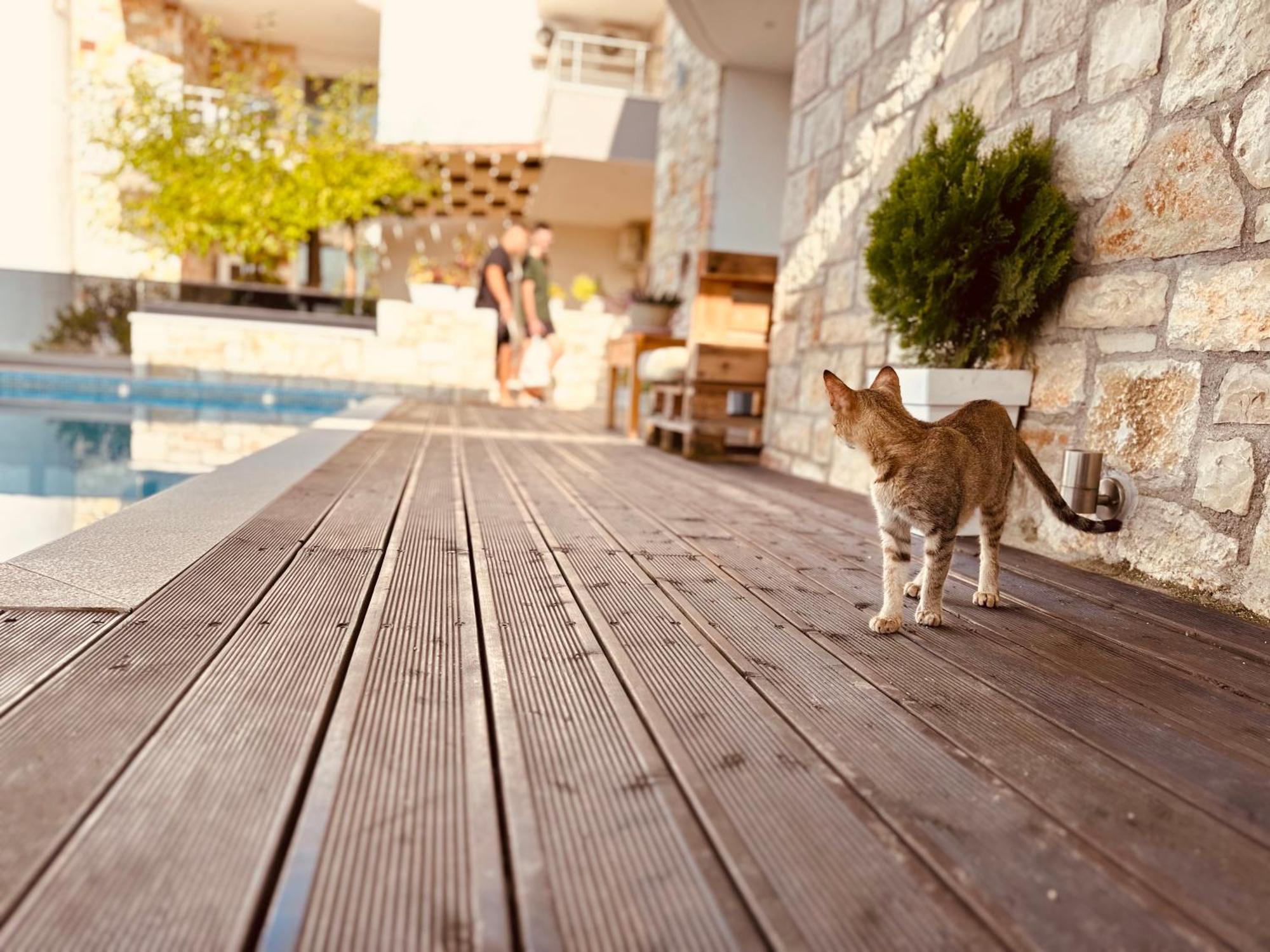 Villa Merkuri Himare Exteriör bild